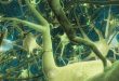 Kursus Python Deep Learning