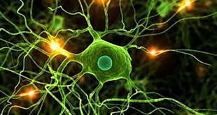 Kursus Tensorflow