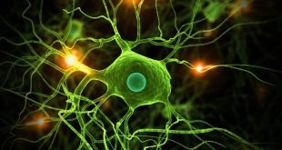 Kursus Deep Learning