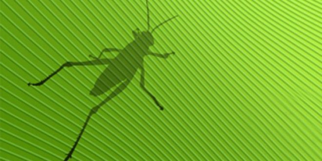 Kursus Rhino Grasshopper
