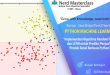 Kursus Jasa Skripsi Python Random Forest